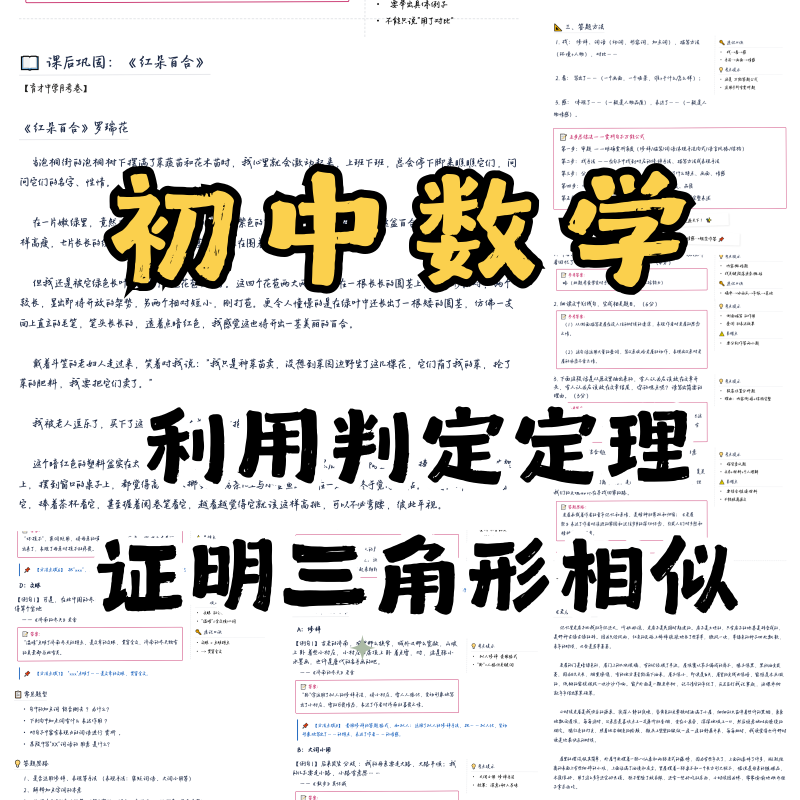 初中数学 利用判定定理证明三角形相似-许飞