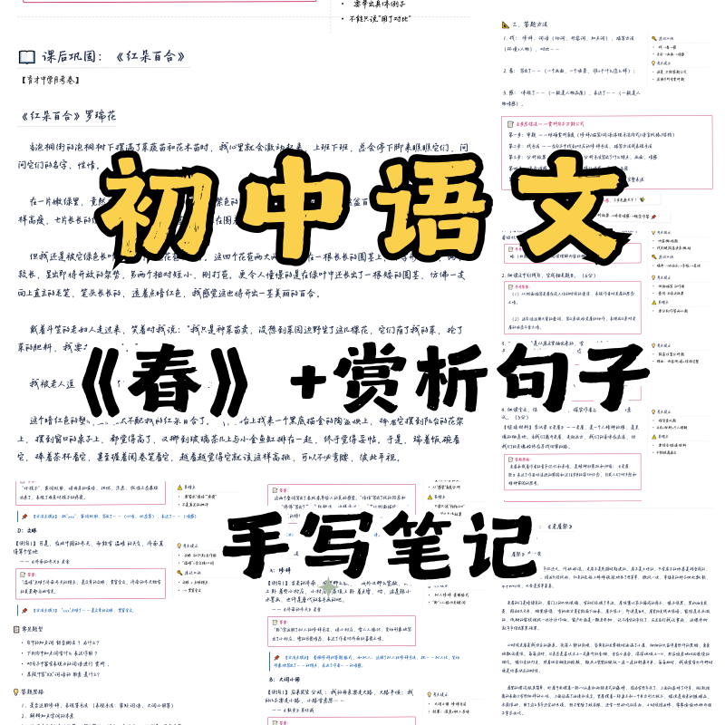《春》+赏析句子-许飞